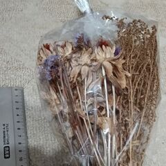 ドライフラワー　4つセットの画像