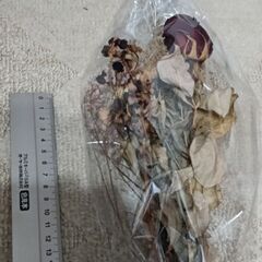 ドライフラワー　4つセットの画像