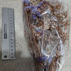 ドライフラワー　4つセットの画像