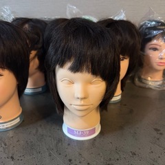 カットウィッグ　12体　カット済　マネキン　の画像