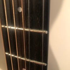 Taylor テイラー　アカデミー12e  
の画像