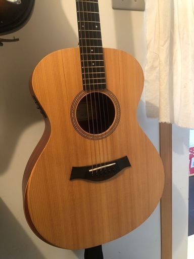 Taylor テイラー　アカデミー12e