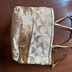 coachバッグの画像