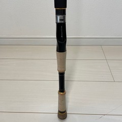 メジャークラフト、セルバ、ナマズロットの画像