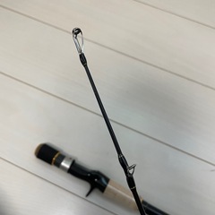 メジャークラフト、セルバ、ナマズロットの画像