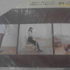 コストコ商品番号　57376　バランスクッション カバー付き 円形38cm　A17646の画像
