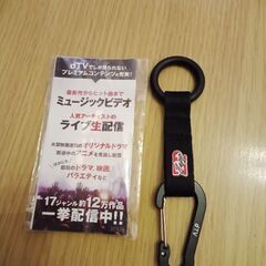 Zepp  カラビナ　ペットボトルホルダーの画像