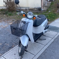 HONDAトゥデイ　フロントタイヤ新品‼️軽整備キャブ車両61型の画像