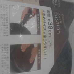 コストコ商品番号　57376　バランスクッション カバー付き 円形38cm　A17645の画像