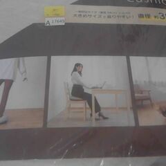 コストコ商品番号　57376　バランスクッション カバー付き 円形38cm　A17645の画像