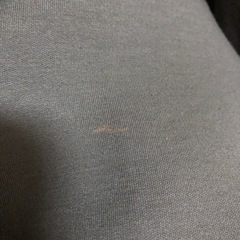 CLASSCAL ELF パーカーの画像