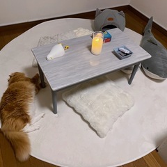 カーペットお譲りします🙌の画像