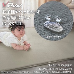 カーペットお譲りします🙌の画像