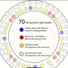植物育成 LED ライト 直径16cmラージサイズ　高さ調節可能はタイマー付きの画像