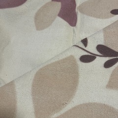 ホットカーペットの画像