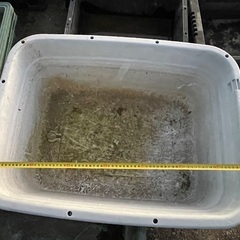 トロぶね　タライ　コンテナなどの画像