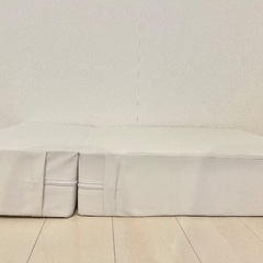 値下げ【未使用】ペット用ステッパーの画像