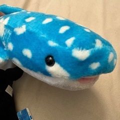 沖縄美ら海のぬいぐるみの画像