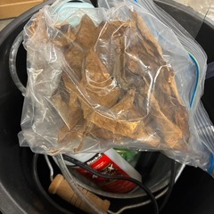 熱帯魚飼育セット　ベタ　金魚の画像