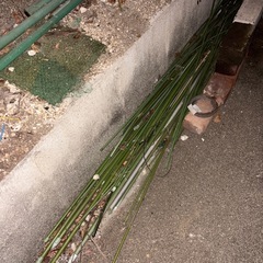 12/6午前中まで　お手当付き植木鉢・支柱・ブロックの画像