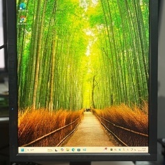 モニター EIZO FlexScan L797の画像