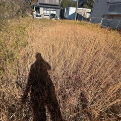 自然豊かな環境！山武市横田の土地を10円でお譲りします！の画像