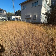 自然豊かな環境！山武市横田の土地を10円でお譲りします！の画像