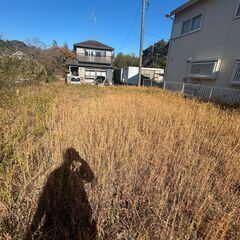 自然豊かな環境！山武市横田の土地を10円でお譲りします！の画像