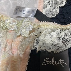 特価５　ワコールサルートＭサイズの画像