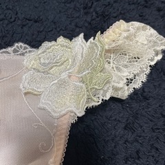 特価５　ワコールサルートＭサイズの画像