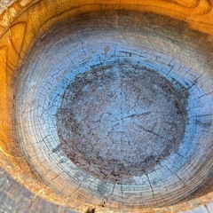 餅つき用　臼の画像