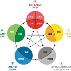 【2026年1月開講】心と体を整えるタッチフォーヘルス講座｜自律神経・経絡・感情のバランスを整える5ヶ月プログラム 【月2回×5ヶ月】一生モノのセルフ調整スキル｜タッチフォーヘルス講座（リアル/オンライン）の画像