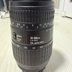 Nikon D7000 一眼レフの画像