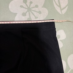 フレアスカート　３Ｌの画像