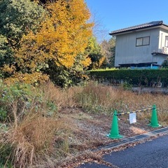 草刈り、剪定など家周りで気になったらご相談してください