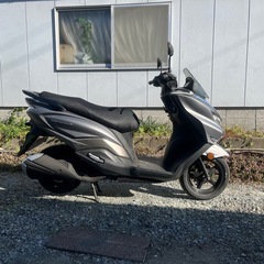 バーグマン125 低走行車の画像