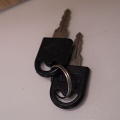 小型ショーケース 鍵付き 白 ホワイト ガラス棚 配達設置対応の画像