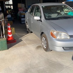 トヨタ小型車12/5(中古車)プラッツの画像