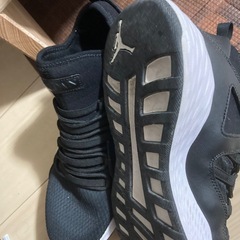 ジョーダンスニーカーの画像