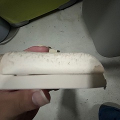 産卵筒、シェルターの画像