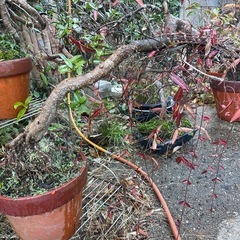 この１年間感謝の気持ちを込めて…🌈大切な方へ届け💫の画像