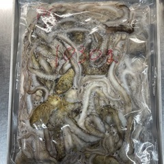 シガヤーの画像