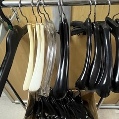 シングルハンガーラックとハンガーパンツハンガー50本　の画像