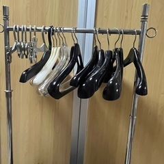 シングルハンガーラックとハンガーパンツハンガー50本　の画像
