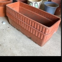 植木鉢の画像