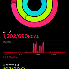 『住之江区』【週払い・日払い可能、完全シフト制、未経験大歓迎】ポスティングスタッフ募集 ⑨の画像