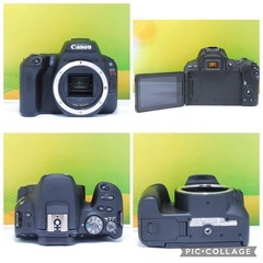 ✨超美品✨Canon EOS kiss X9 ダブルズームセット ダブルレンズ Wi-Fi 自撮り 一眼レフ 初心者おすすめの画像