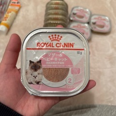 ロイヤルカナン　猫ごはんの画像