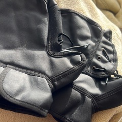 バイク用 防寒グローブ
の画像