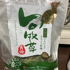 ウサギ関連の画像